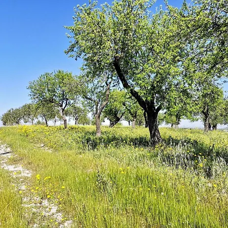 Mennuli&alivi - Organic Farm Vakantieboerderij Noto