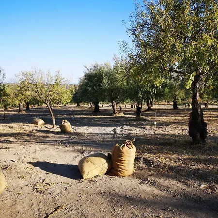 Mennuli&alivi - Organic Farm