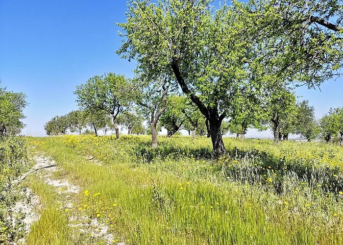 Mennuli&alivi - Organic Farm Lantgård Noto